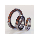 ZX14 Ceramic Engine Bearing Kit - Woodcraft Technologies